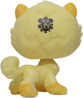 #251 Chow Chow